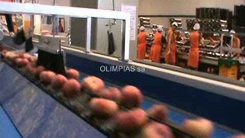 Γραμμή ταξινόμησης-διαλογής-συσκευασίας.Sorting-grading-sizing-classifying line for flat peach.