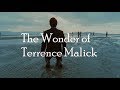 The wonder of terrence malick