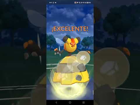 Mi equipo Pokémon