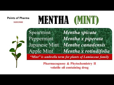 #ਮਿੰਟ #ਪੁਦੀਨਾ #Mentha #VolatileOil #Pharmacognosy #Spearmint #Peppermint #SemesterV #AYUSH #Herbal