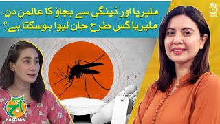 World Malaria and Dengue Prevention Day: How can Malaria be deadly? - Dr Areeej Haroon -Aaj Pakistan