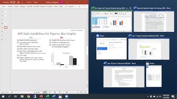APA 2x2 Bar Graph Tutorial