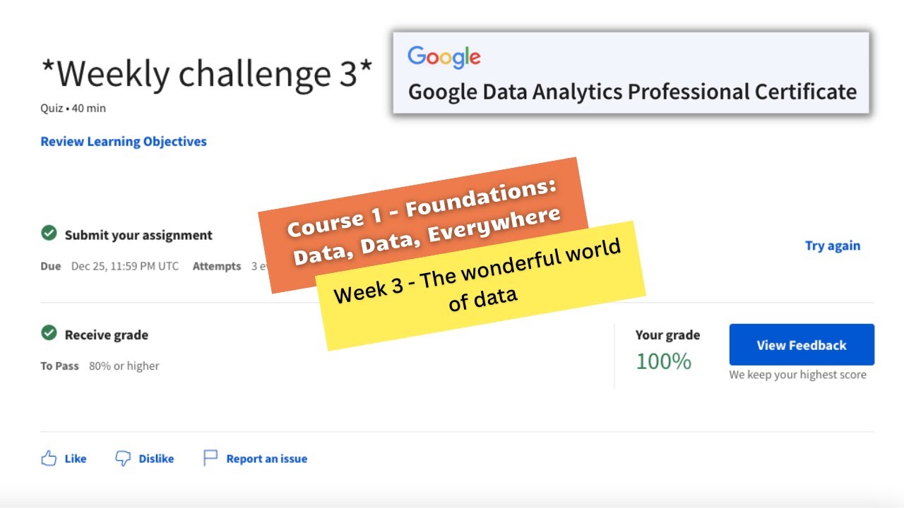 Foundations data data everywhere week 3 quiz answers || Google Data