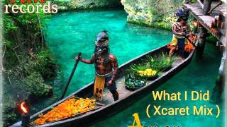 N. Audiffred - What I Did (Xcaret Mix)
