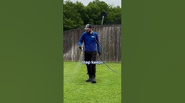 What to Look For in a Pest Control Company