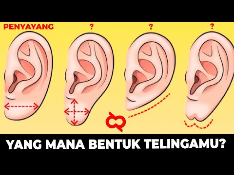 Video: Mengapa buddha mempunyai telinga yang panjang?