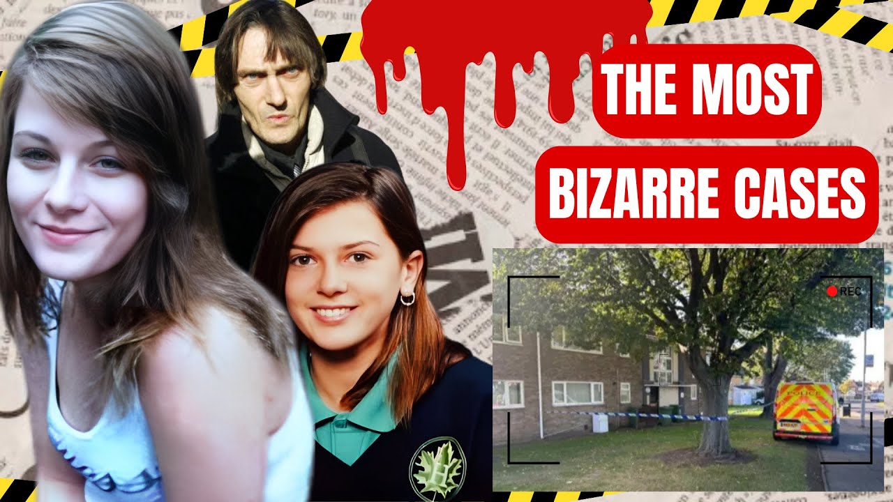 Cold Cases Finally Solved After Years With The Most INSANE Twists ...