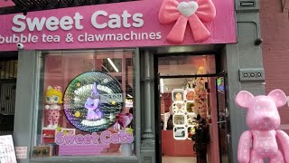 Browsing The Sweet Cats Bubble Tea & Claw Machines Cafe in Union Square