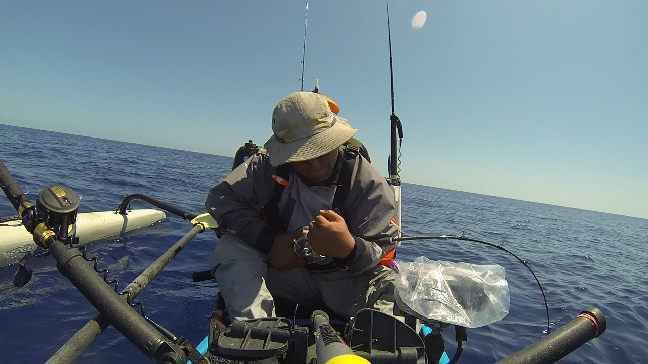 03/15/16 Key West Kayak Fishing Fishing "Baseball" Strikeout. YouTube