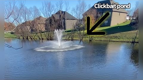 This pond was CLICKBAIT!?