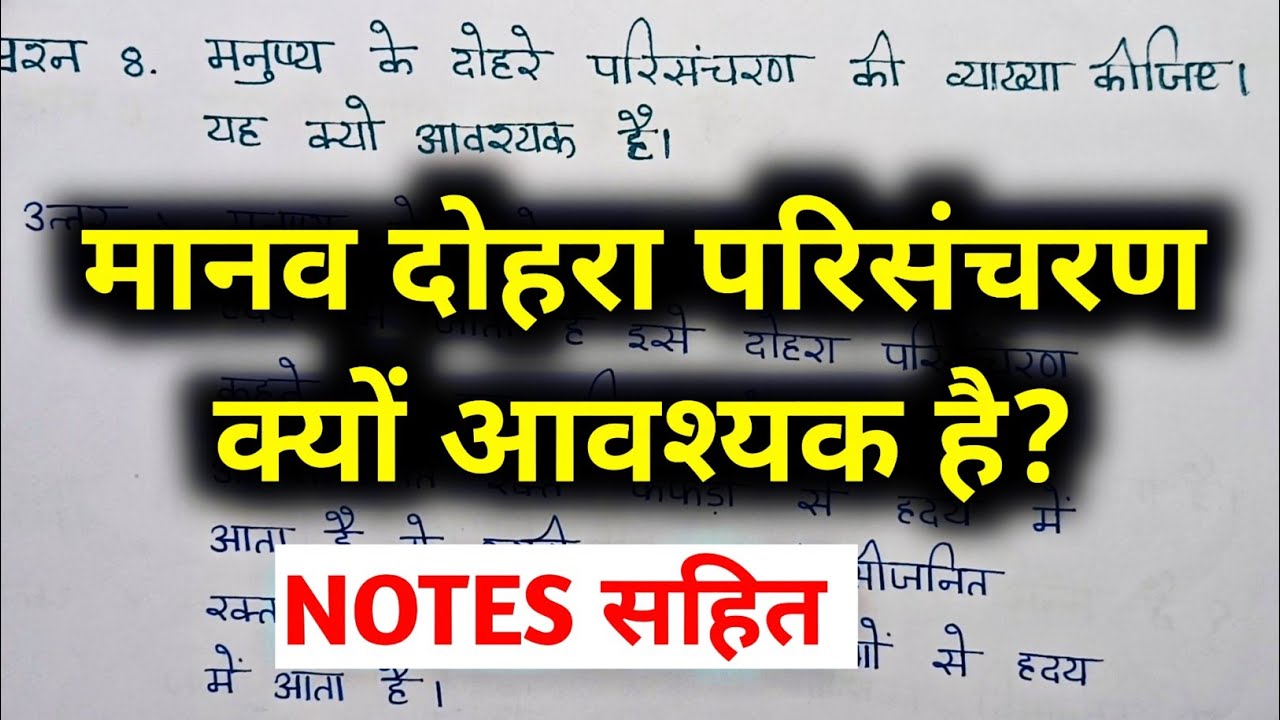 मनुष्य के दोहरे परिसंचरण की व्याख्या कीजिए / manushya ke dohre