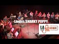Lingus snarky puppy  orchestre la grande fabrique