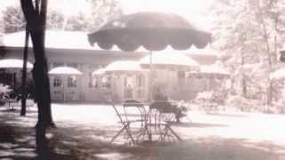 The History of Niagara Falls, Part 2 - Thompson's WaterSeal
