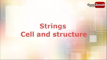 String cell and structure at MATLAB | an introduction to MATLAB