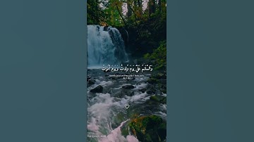 قال اني عبد الله اتاني الكتاب وجعلني نبيا | قران كريم