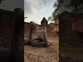 Two Cobras Appear Suddenly — Nature’s Most Dangerous Moment
