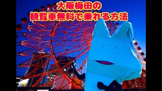 梅田ヘップの観覧車乗りたいし誰か金持ってきて