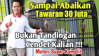 CENDET TERVIRAL DIBONDOWOSO ~ TIDAK PILIH LAWAN TANDING || MEWAH TIADA DUANYA