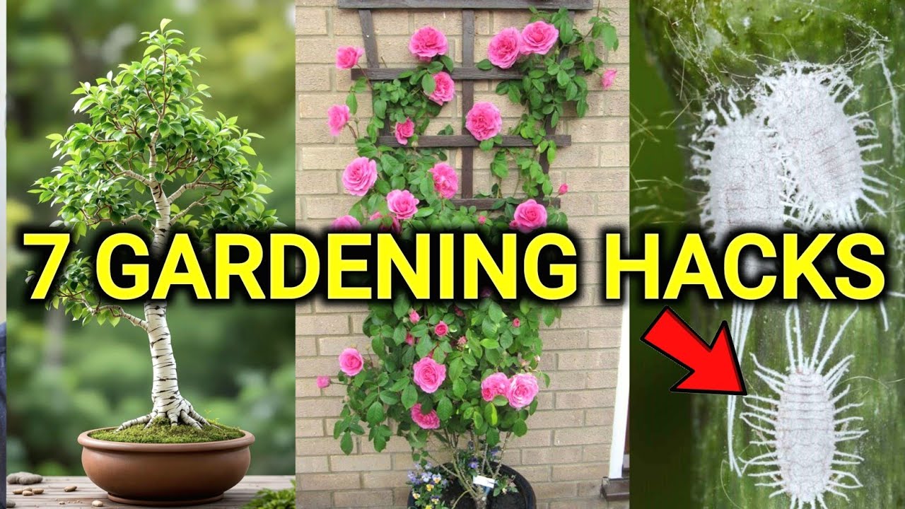 7 easy diy ideas for your garden | Gardening tips for Beginners - YouTube