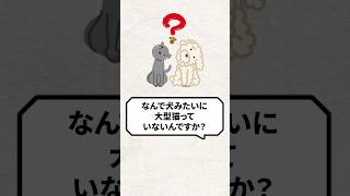 Q：なんで犬みたいに大型猫っていないの？ #猫 #猫好き #ねこ