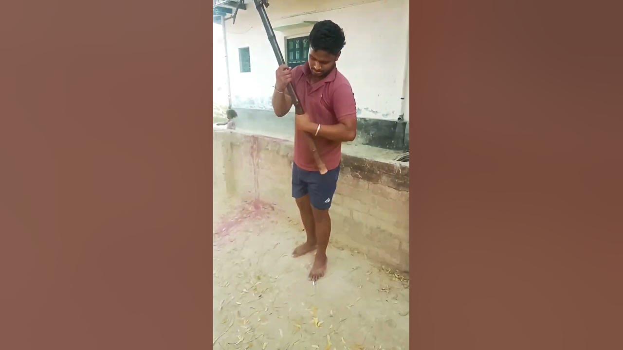 holi yadav