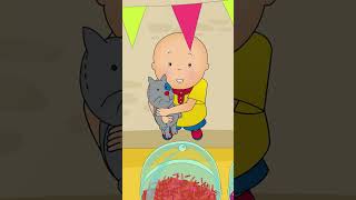 Caillou Gets Lost 😱 #shorts Resimi
