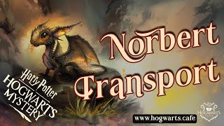 NEW ADVENTURE !!! | Beyond Hogwarts Vol. 1 | Norbert Transport | Hogwarts Mystery