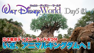 【WDW】Day5 ディズニー・アニマル・キングダム  #1  /  ウォルト・ディズニー・ワールド  :  Disney's Animal Kingdom  : Walt Disney World
