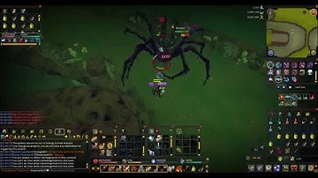 Araxxor/Araxxi Path 1 guide for beginners