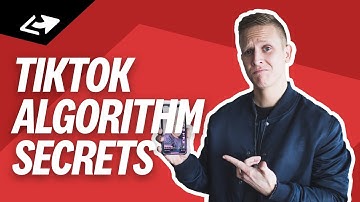 How Does The TikTok Algorithm Work? [5 Secrets You Need To Know]