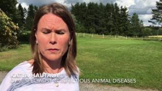 FEI doping control