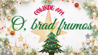 O, brad frumos | Colinde la chitară #14