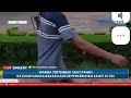 Satu Orang Tewas Kesetrum saat Bakar Fasilitas Perusahaan Sawit di OKI, Dipicu Penembakan saat Panen