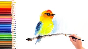 Learn how to draw a bird using watercolor, video for kids to learn drawing and painting 儿童简笔画教程