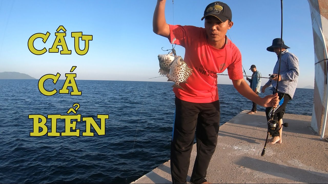 Câu cá biển ở trụ điện Hòn Sơn trúng bầy cá Nhồng, cá Ngân, cá Nâu nhìn mà mê Phần1