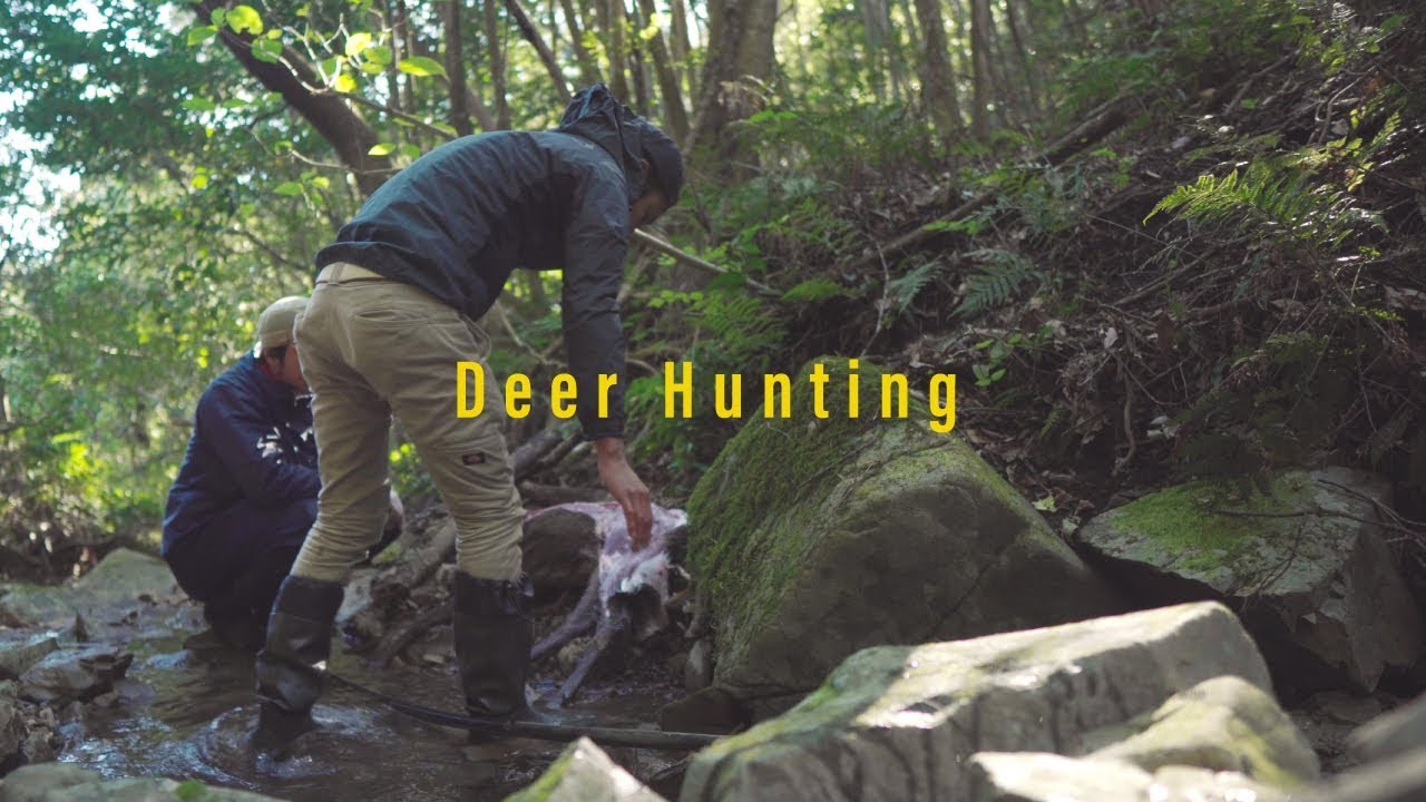 【シカの狩猟/解体編】鹿を獲ったので解体した Whispering deer
