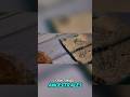 🪐 ¿Conocimiento olvidado… o algo más allá de lo humano? #shorts #viral #viral2025