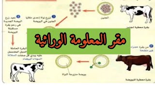 أبين مقر المعلومة الوراثية علوم طبيعية رابعة متوسط