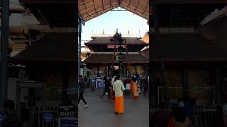 Guruvayur Templeshorts