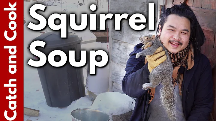 Catch Cook Squirrel - Creamy Soup