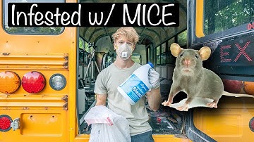 My Short Bus Tiny Home is INFESTED - Skoolie Build Ep. 4