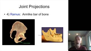 Bone Markings