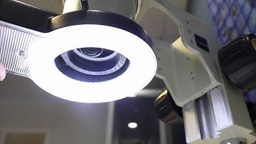 Ring Light LED Triple Color