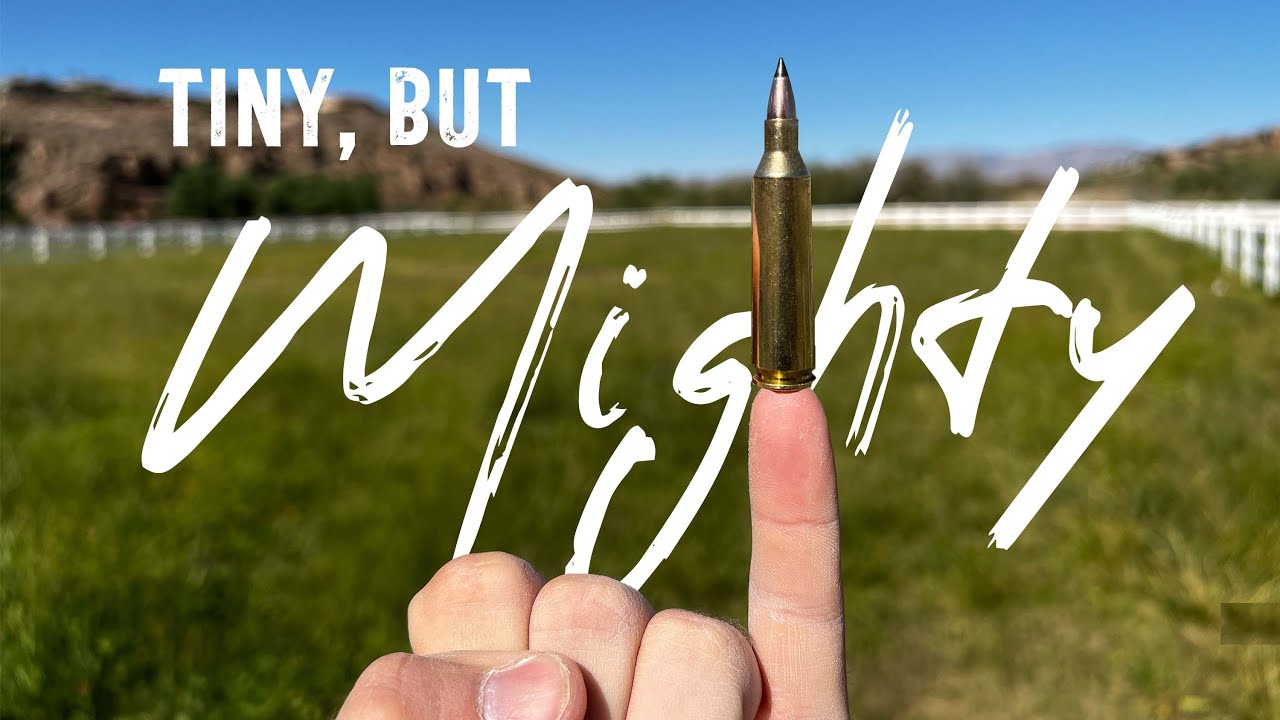 22-250 Remington: One of my all-time favorite cartridges - YouTube