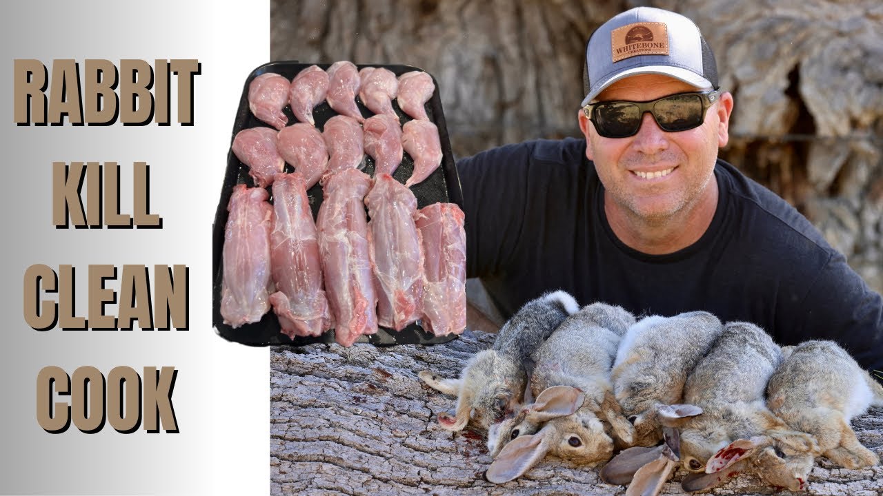 COTTONTAIL RABBIT KILL CLEAN AND EAT YouTube