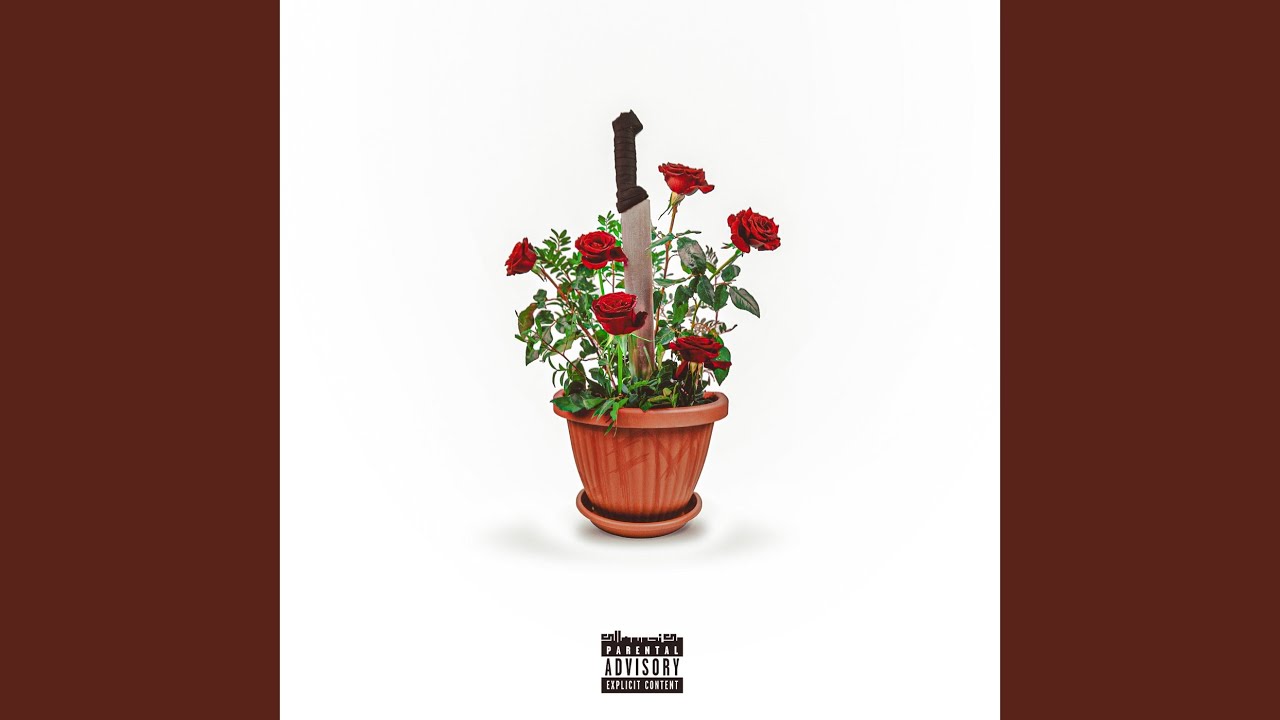 Guarda Strobo su YouTube Guarda Strobo su YouTube