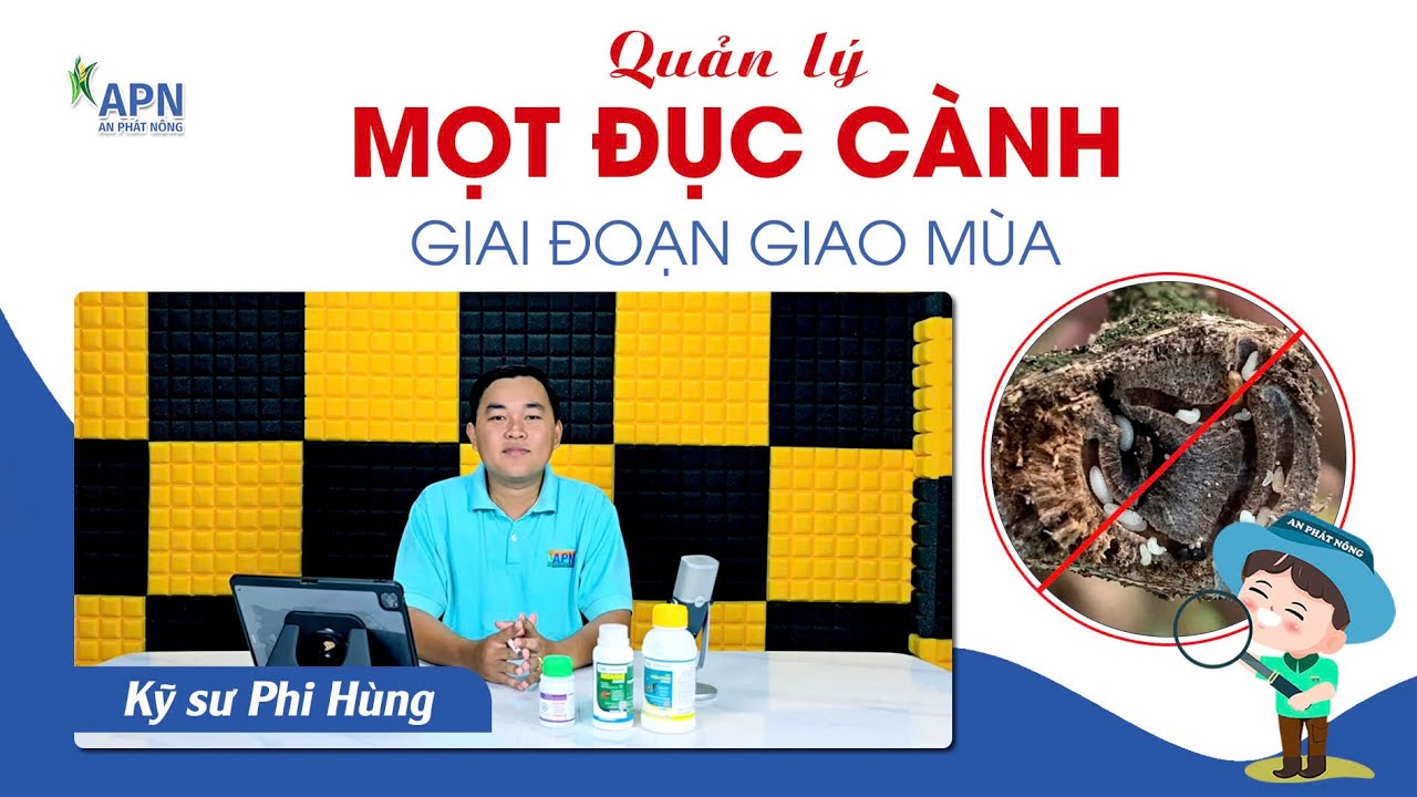 APN - QUẢN LÝ MỌT ĐỤC CÀNH GIAI ĐOẠN GIAO MÙA