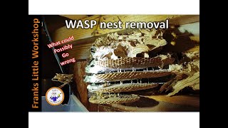 Wasp nest removal, from my wood shed
Welcome back to my workshop 😁
In todays video i show you how i managed to destroy and remove a #waspnest from my wood shed 🐝. I know in the video i am a bit Health and Safety about the whole thing..... but in this case its better to be safe than sorry.
I hope you enjoy the video and learn a thing or two.
But if your unsure of doing this yourself, then please dont even attempt it 🙂.
Thanks very much for watching 😁👍
#frankslittleworkshop #frankwilliams #wasp #waspnestremoval #waspnest #gardenwasps #insects #insecticide #pestcontrol #pesticides #insectfogger #insectokil #hornets #hornetsnest #DIY Wasp nest removal, from my wood shed