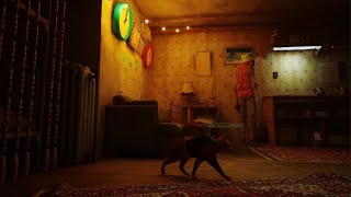 Stray Finding Code To Secret Lab