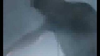Digitalism - Live trailer 1